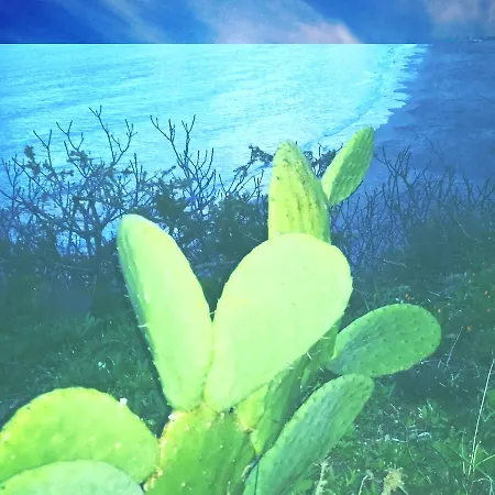 Aira Te Finu Couette-café 3*