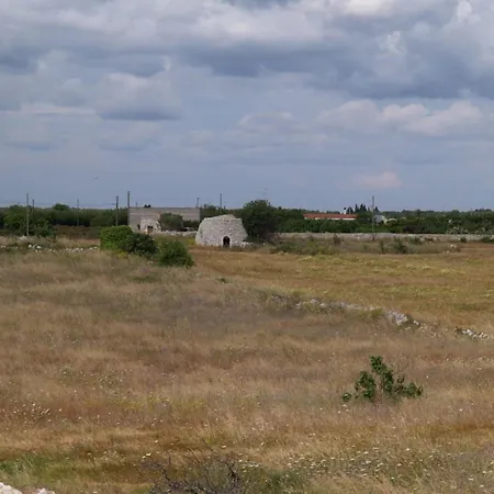 住宿加早餐酒店 艾拉特费努酒店 3*