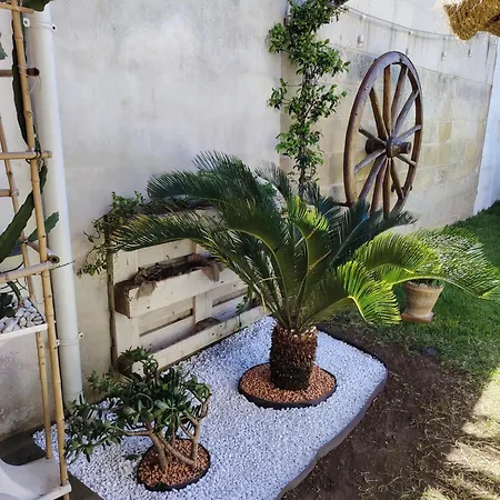 Aira Te Finu Bed and Breakfast