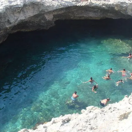 住宿加早餐酒店 艾拉特费努酒店 3*