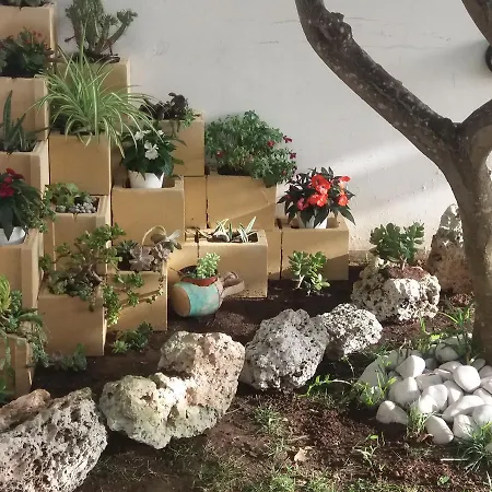 艾拉特费努酒店 住宿加早餐酒店 3*