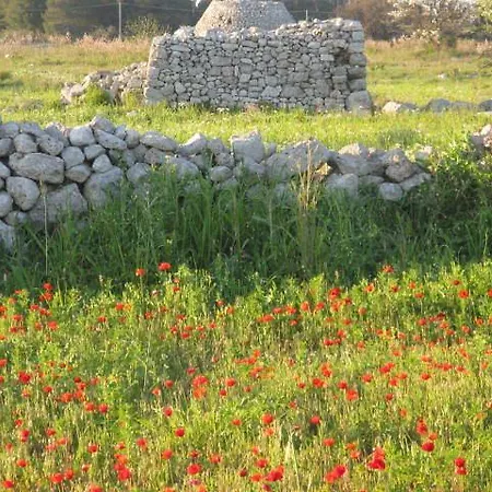艾拉特费努酒店