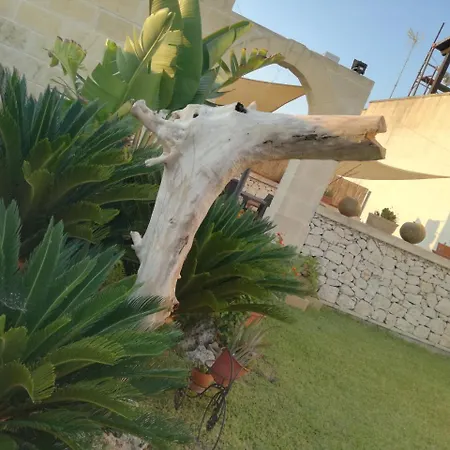 艾拉特费努酒店