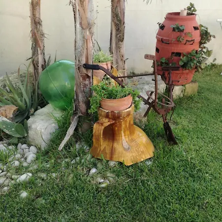 艾拉特费努酒店