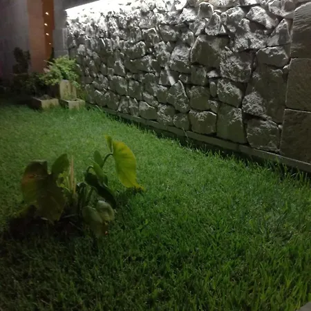 住宿加早餐酒店 艾拉特费努酒店 3*