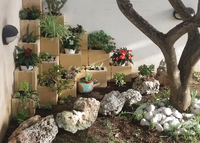 Aira Te Finu Bed & Breakfast 3*